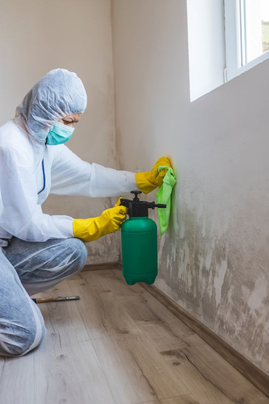 Preventing Mold Growth